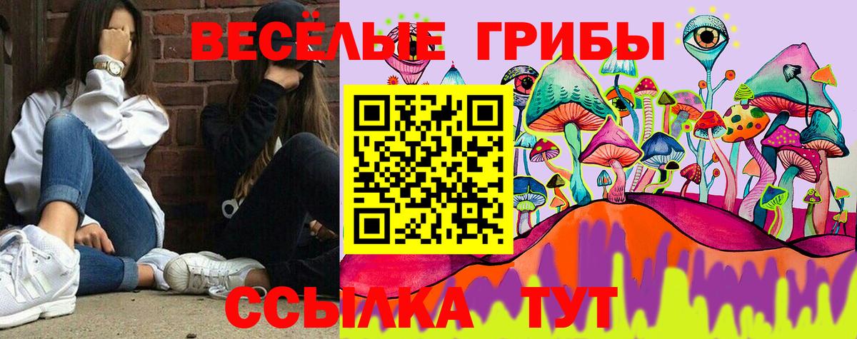 Псилоцибиновые грибы Magic Shrooms  Галлюциногенные грибы GOLDEN TEACHER  Вход с VPN  Алатырь 