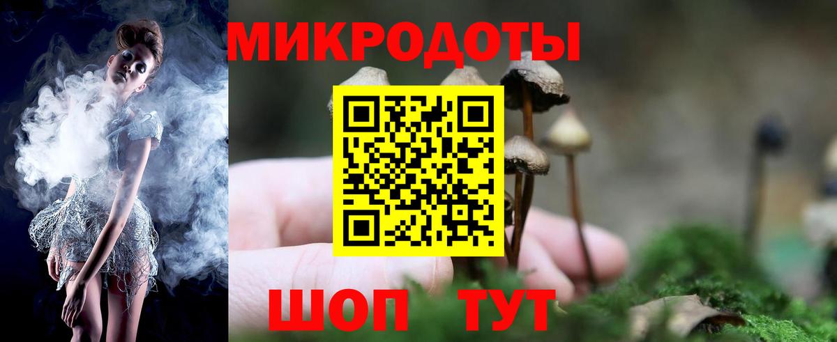 Псилоцибиновые грибы мицелий Алатырь